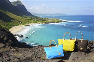 1 Alba - AQUA BLU - Hawaii