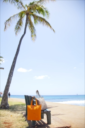 2 Alba - AQUA BLU - Hawaii