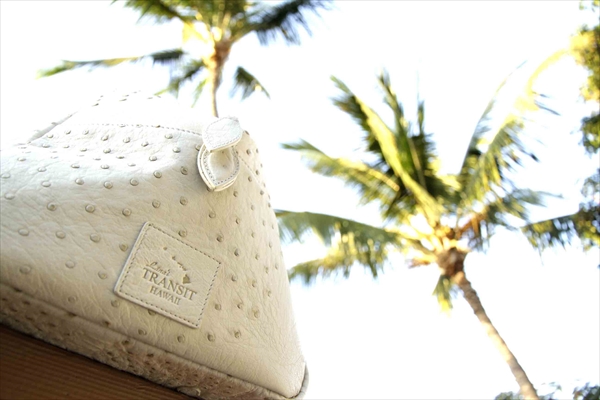 16 Collection AQUA BLU HAWAII